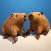 Cute Capybara Plush Stuffed Animal, 8.67inch Soft Capybara Plushie Kawaii