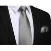 Enlision Silver Grey Ties for Men Wedding Plaid Tie and