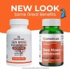 INFINITE AGE : 1250mg Sea Moss Advanced Superfood - High-Potency,