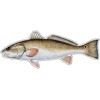 (x3) 3 inches Fridge Magnets | Redfish -Fish Decal- Red