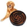 Slow Feeder Dog Bowls for Large Medium Dog Non Slip