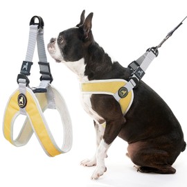 Gooby Simple Step in III Harness - Yellow, Large - Small Dog Harness with Scratch Resistant Outer Vest - Soft Inner Mesh Harness for Small, Medium Dogs