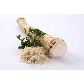 Horseradish | Kren | Horseradish - Fresh Barware (washed, 250 - 300 g)