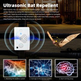 2 Pack Ultrasonic Bat Repellent to Keep Bat Away for Attic Porch House, Bat Exclusion Device Indoor, Bat Away System, Bat Be Gone, Animal Deterrent for Bat, Friendly to Human & Pet, White
