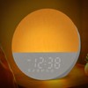 Wake Light Sunrise Alarm Clock: Gradual Wake Up Light, Protect