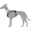 HUNTER AALBORG MIXED Dog Harness Black / Grey Cowhide Leather