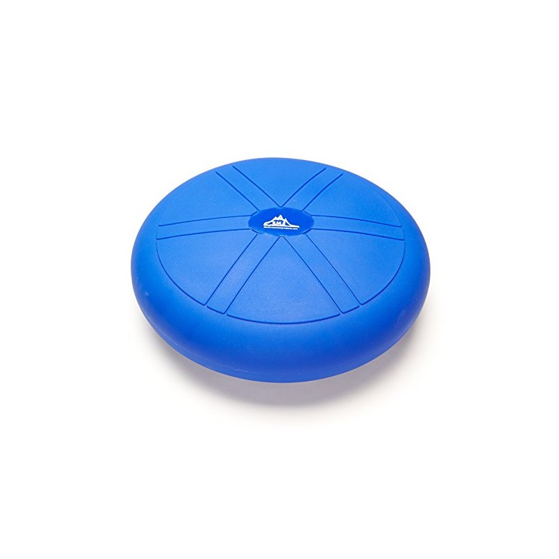 Black Mountain Products Professional Series Balance Stability Disc with Hand