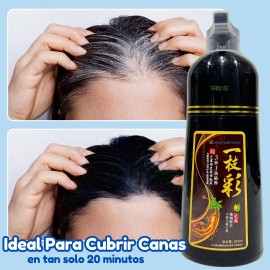 2pz Shampoo Tinte Instantáneo Cubre Canas Natural Jengibre F