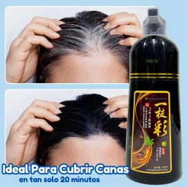 2pz Shampoo Tinte Instantáneo Cubre Canas Natural Jengibre F