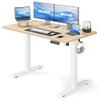 Marsail Electric Standing Desk,Adjustable Height Stand up Desk, 40 *
