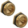 2 Pack RP2865 Push-Button Diverter Plug, Brass Plug for Faucet