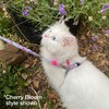 Max and Molly Adjustable Cat Harness and Leash Set -