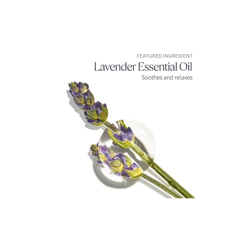 L'Occitane Crema de manos Nutritiva de Lavanda 75gr