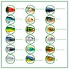 Freedom Tackle Mischief Minnow – 4.5" Floating Topwater Lure, Golden