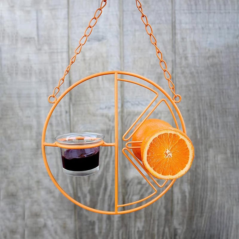 AIMALL Decorative Hummingbird Feeder with Orange Citrus Design – 7.08”