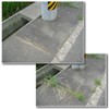Weed Scourer & Weed Brush, Weed Removing Roots, Weeding Tool,