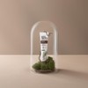 AntiPlaque Toothpaste with Coconut Oil