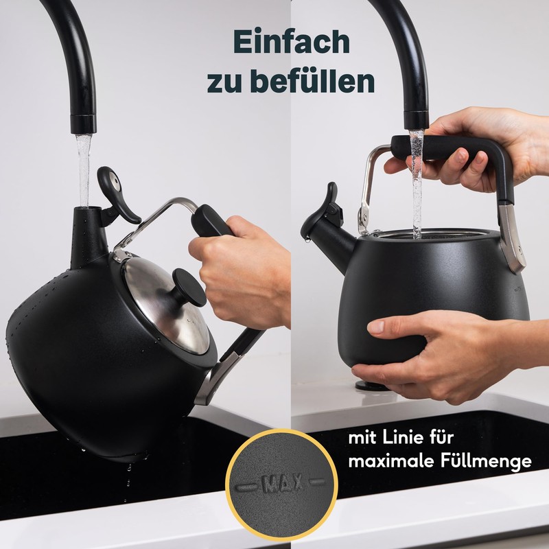 SILBERTHAL Induction Kettle 2.8 L - Stainless Steel Tea Kettle