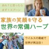 どこまでも自然な製法にこだわった 穿心蓮 パウダー(Fah Talai joen/Andrographis/Bhunimba/sensinren Powder) 50g センシンレン ブーニンバ アンドログラフィス