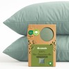 Dreamzie - 100% Organic Cotton - Pillowcase 40 x 40