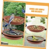 CIYODO Bird Feeding Device Decorative Bird Feeder Parrot Feeder Large