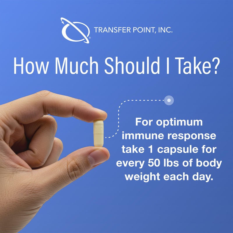 Transfer Point Immune Support Supplement Highly Purified Beta Glucan 500