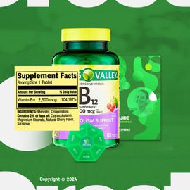 Vitamin B12 2,500 mcg, Cherry Flavor, 120 Tablets with Bundle Exclusive Vitamins & Minerals - A to Z - Better Ligth&Spring Guide + Weekly Pill Organizer (3 Items)