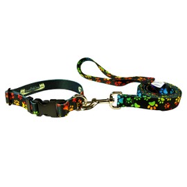 Dog Leash Set - Patterned Dog Collar Set, Matching Dog Collar and Lead, Made in The USA - 3/4 Inch Wide Adjusts to 11.5-17.5 Inches, Medium, Rainbow Paws