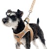 Pupteck Dog Harness & Leash Set, Non-Slip, Adjustable Torso, Lightweight,
