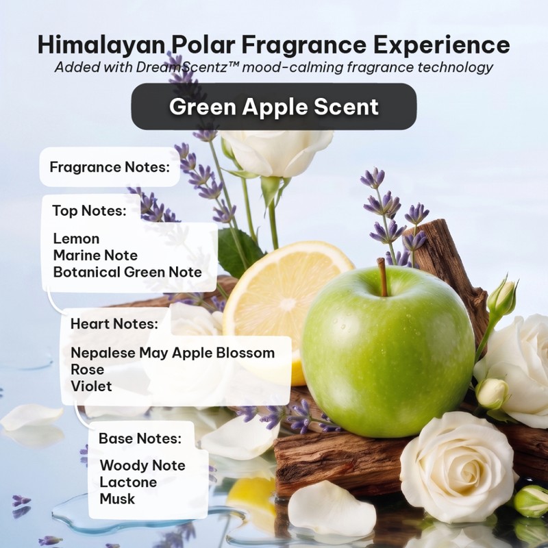 CHANDO Himalaya Botanical Hair Shampoo 600ml, Antioxidant Repair, Oil Control,