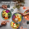 Wheat Straw Dinnerware Sets For 4 - Camping Plates Cups