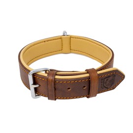 Riparo Genuine Leather Padded Dog Heavy Duty K-9 Adjustable Collar (M: 1” Wide for 14.5” - 17.5” Neck, Brown)