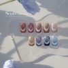 From the Nail Sepia Magnetic Gel Single Item / 프롬더네일
