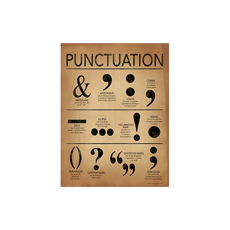 ECHO-LIT, LLC Punctuation Writing and Grammar Poster for Home, Office,
