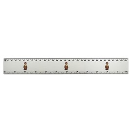 'Smart Otter Wearing a Suit' 30cm (12 Inch) White Plastic Ruler (RL00087558)
