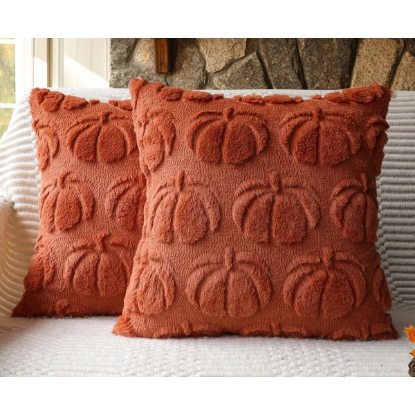 Fall Pumpkin Decorative Pillow Covers 18X18 Set of 2, Rust