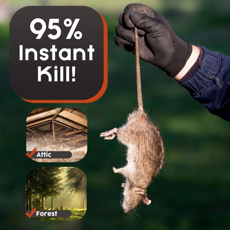 Squirrel Traps Outdoor - Squirrel Trap - Ouell Traps -