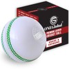 ONEGlobal Supreme Leather Cricket Ball | 100% Handstitched, 156g -