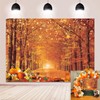 WR Autumn Maple Forest Backdrop Fall Harvest Maple Leaves Pumpkin
