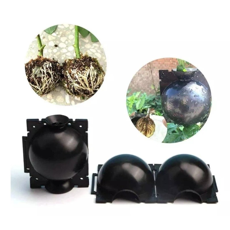 DECOMPRASMEXICO Planta Enraizamiento Dispositivo Bola De Enraizamiento 8cm