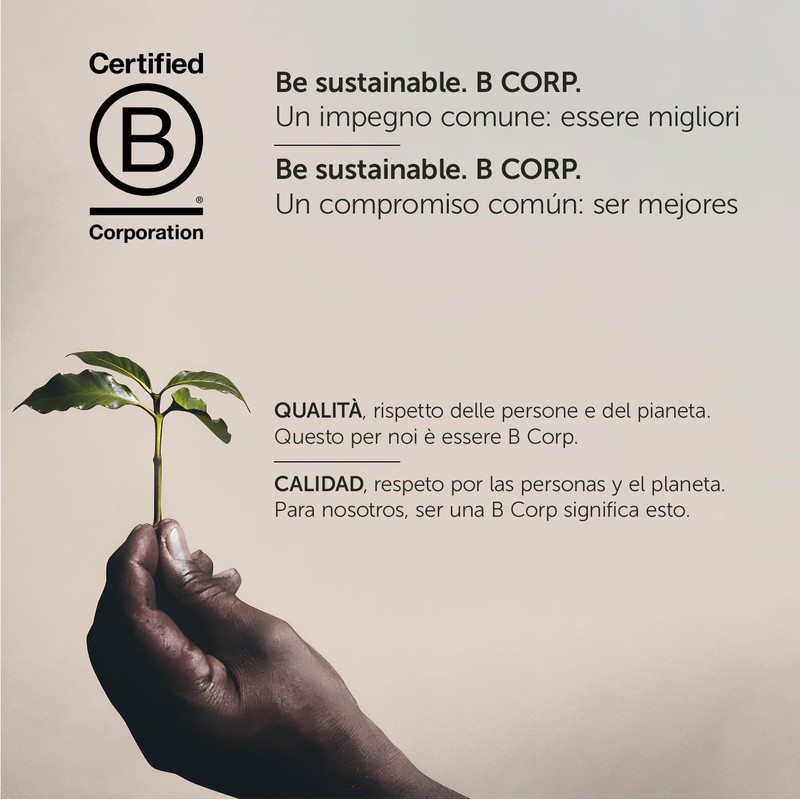 ILLY 100 Capsules Compatible Nespresso 10 Pack of 10 Caffè