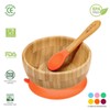 Vinsani Bamboo Bowl and Spoon Set for Baby/Toddler, Suction Plate,