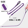 PUPTECK Reflective Dog Leash with Comfortable Padded Handle Durable Nylon
