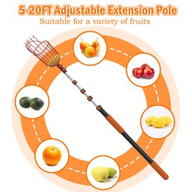 SISIUPASSIE 26FT Reach Fruit Picker, Apple Picker Pole with Basket Telescoping Tool for Apple Lemon Orange Mango Avocado Fruit Tree Picking