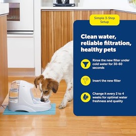 PetSafe Drinkwell - Filtros de carbón de repuesto, filtros de fuente de agua para perros y gatos, Blanco, Paquete de 3                                