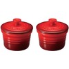 Le Creuset 910026-00-06 Lamcan, S, Set of 2, Heat Resistant