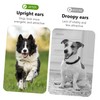 SEWOART 3 Pairs Pet Ear Erector Pet Puppy Accessory Puppy