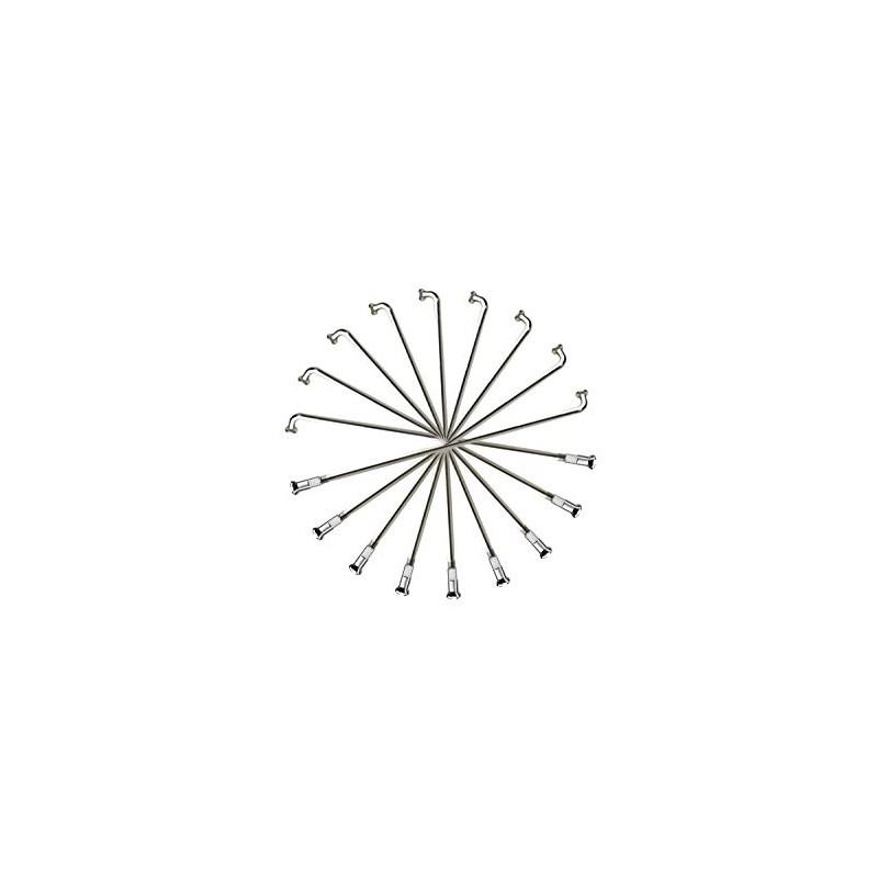 Set 250 mm Speichen Spokes Silver Chrome 2 mm including