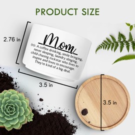 Jutasty Mom Gifts from Daughter Son, Succulent Plant Pots for Mom Birthday, Flower Planter Gifts for Mother, The Best Mom Gifts, First Time Mom New Mom Gifts for Women Mama, Momma Gifts (No Plants)
