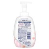 Dove Body Soap, Seasonal Dojima Roll, Peach Limited Collaboration (Foam